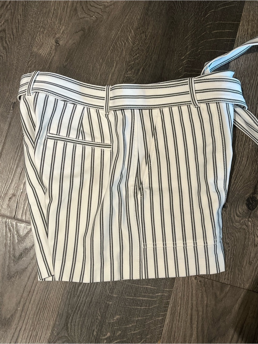 Ann Taylor Striped Tie Waist Shorts | Size 6 | Nautical Summer Style - Picture 4 of 5